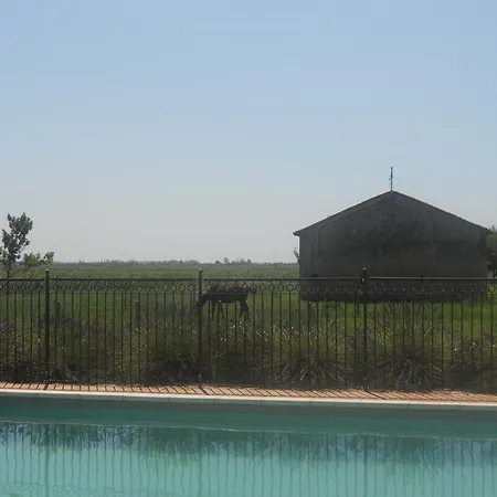 Bed and breakfast Mas Petit Arlés